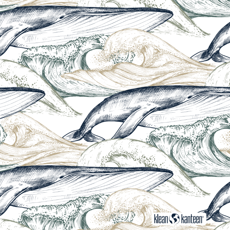 20oz-tkwide-with-twist-cap-ocean-day-j0 20oz_tkwide_bottle_seasonal_ocean_day_whale_artwork_square.png