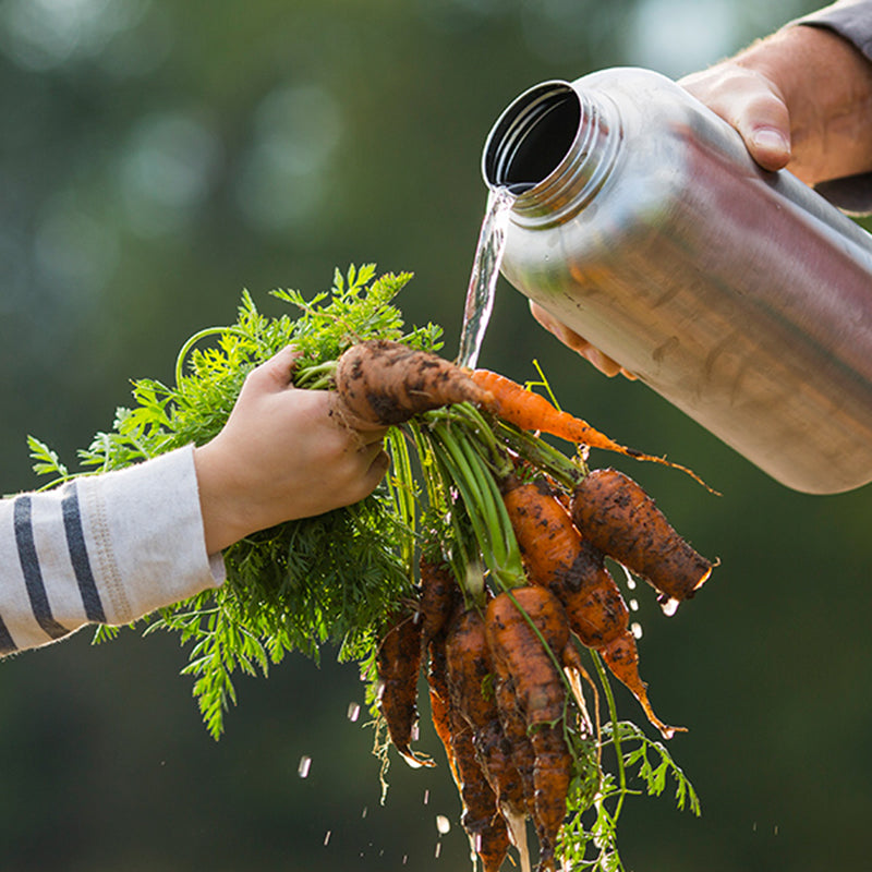 64oz-wide-with-loop-cap-e0 64oz_wide_mouth_bottle_carrots_rinse_square.jpg