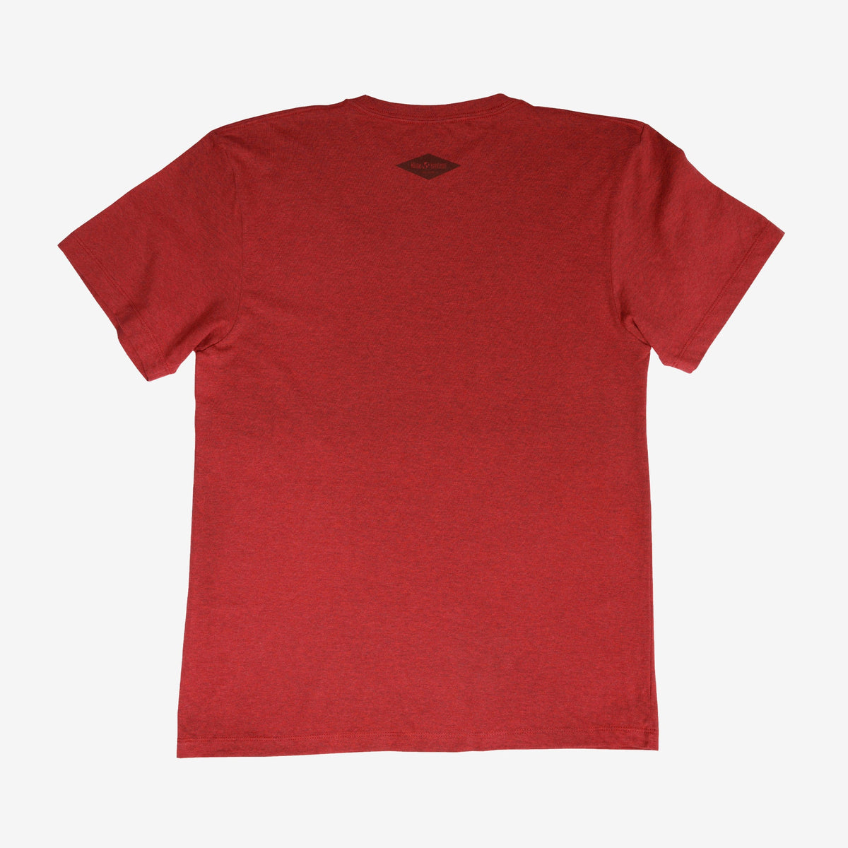 backyard-t-shirt-w5 Shirt_Mtn_Back.jpg